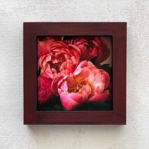 Springtime Peonies Miniature