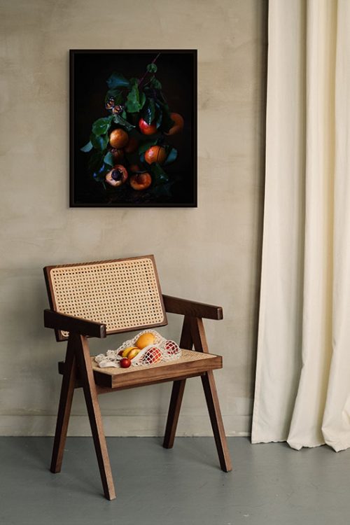 Image of apricots and butterfly float mounted canvas framed.