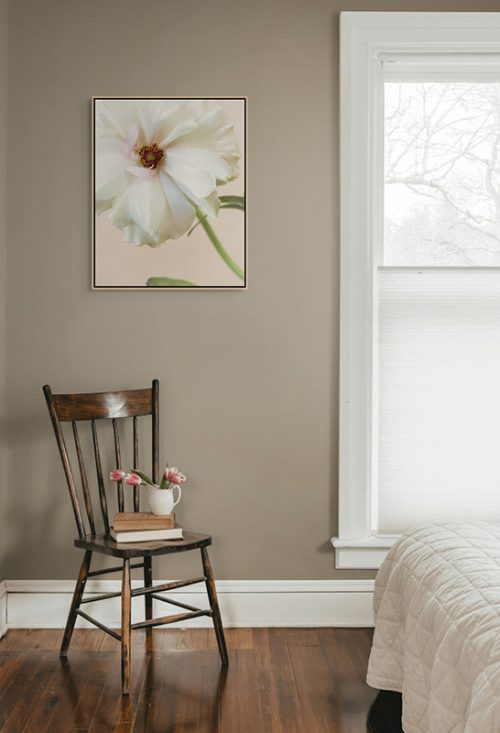 Image of butterfly ranunculus float mounted framed canvas