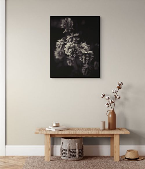 Shadow Garden Framed Canvas