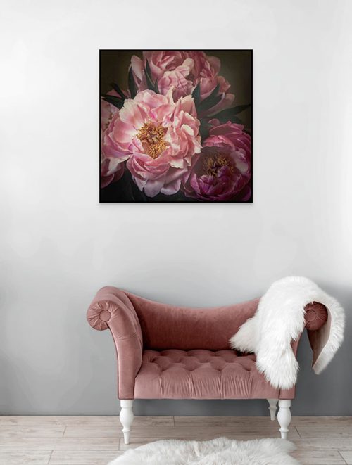 Dark pink peonies framed canvas