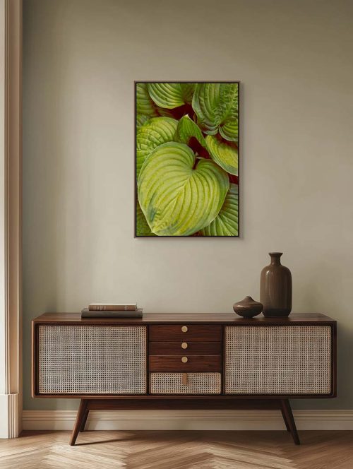 Image of Hosta Leaves printed on canvas and float mounted in a frame.