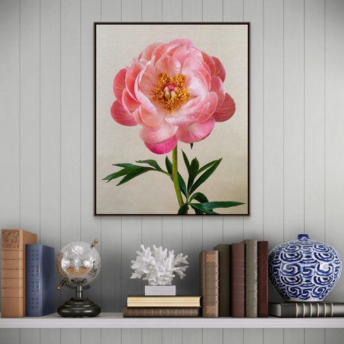 In full bloom framed canvas