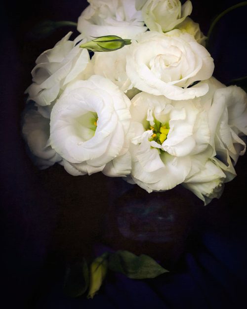 Lisianthus in Vase Print