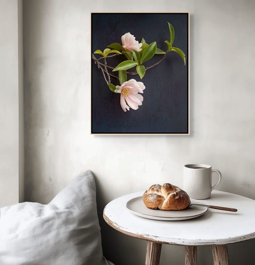 Image of "Pale Pink Camillas" float mounted framed canvas