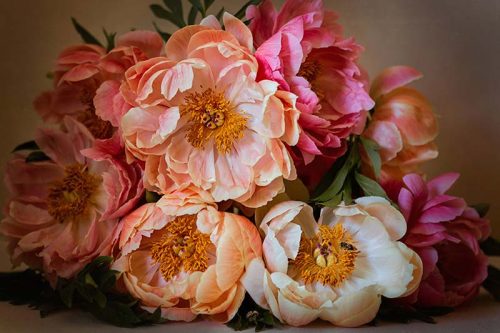 Peonies and Bees Print