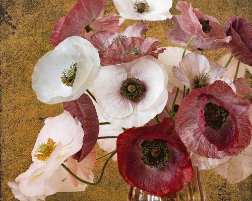 Poppies in Vase Print