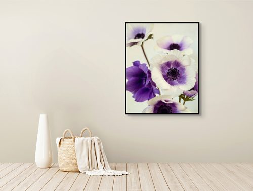 Purple Anemones Framed Canvas