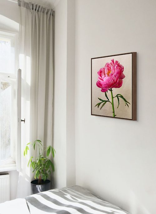 Single pink peony framed canvas