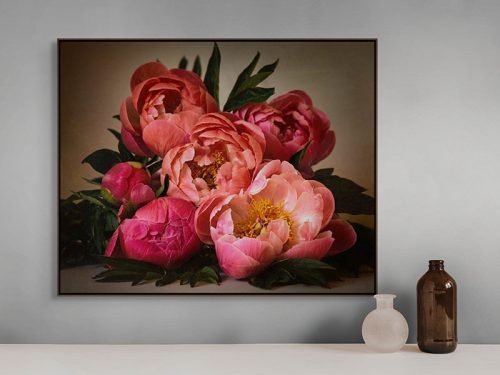 Springtime peonies framed canvas