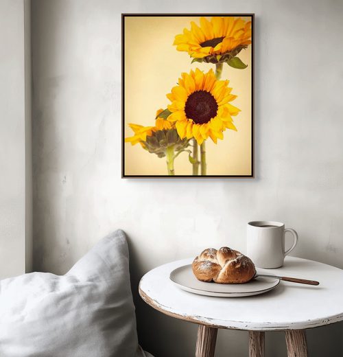 Sunflower trio framed canvas