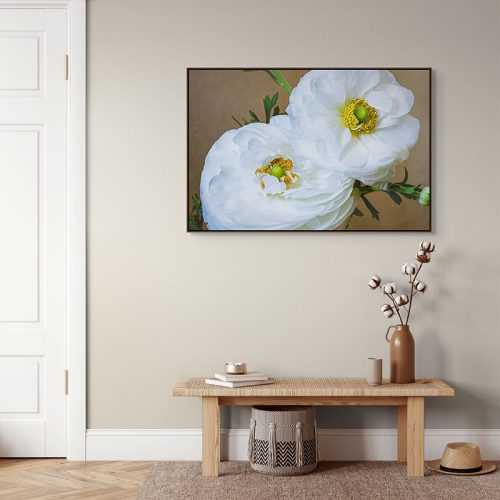 White Ranunculus Framed Canvas