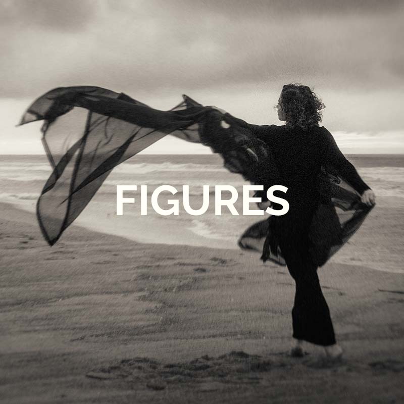 Click here to shop figures category