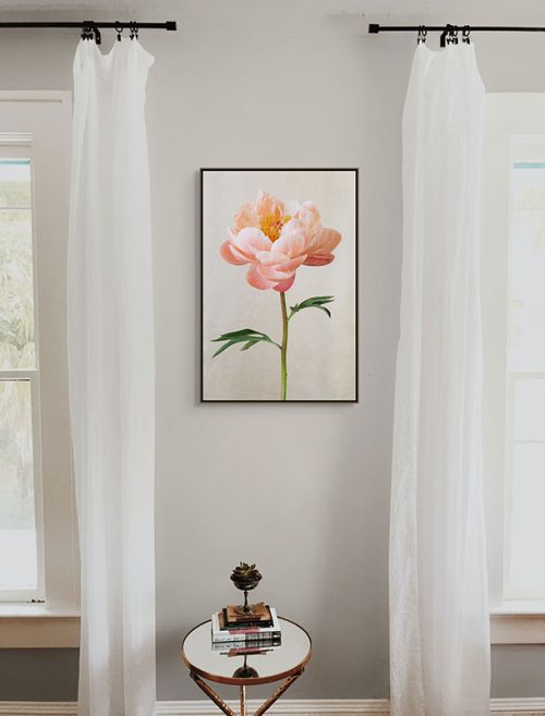 Peachy pink peony framed canvas