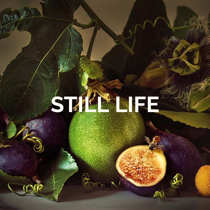 Click here to shop still life