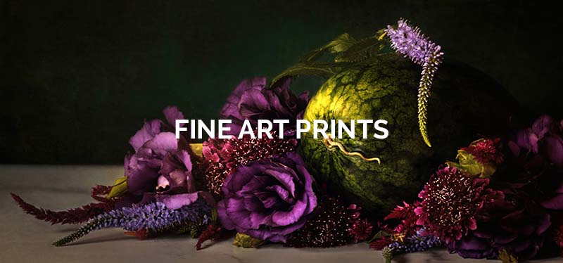 Click here for fine art photography prints and framed canvas wall art